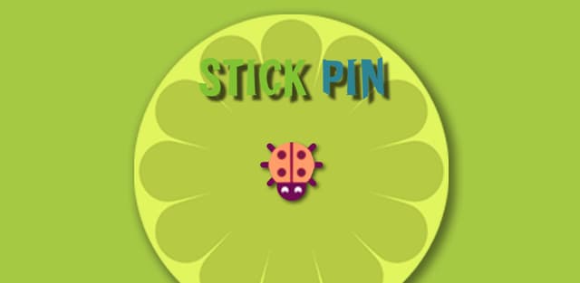 stick pin