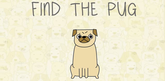 find the pug